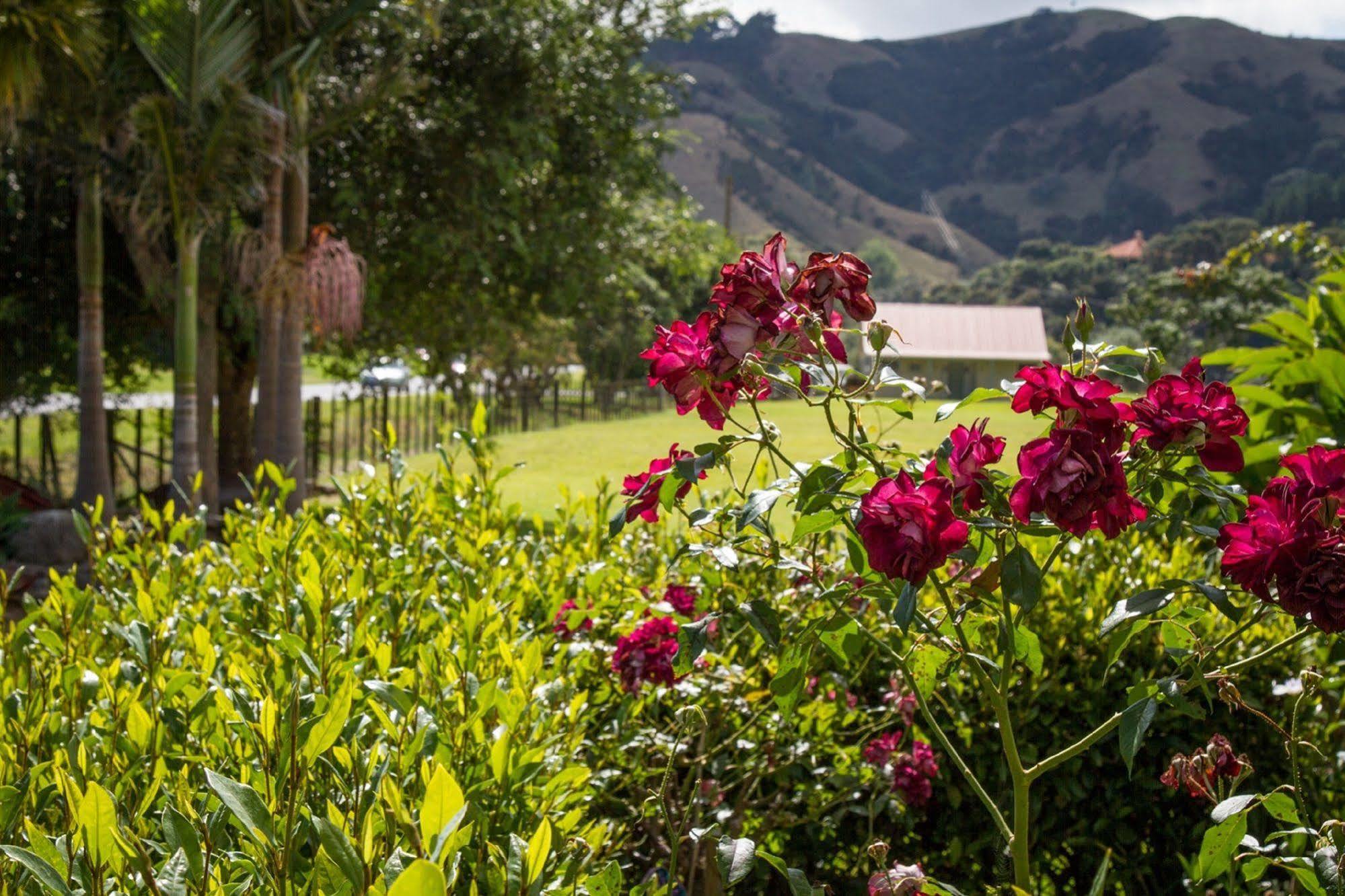 Taigh Na Mara Bed And Breakfast Whitianga Kültér fotó